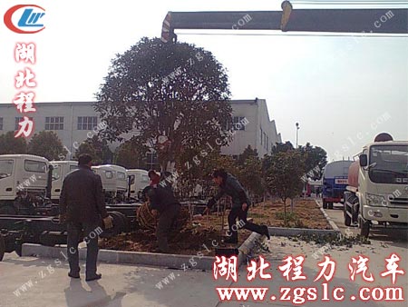 湖北程力隨車起重運輸車將樹苗移至挖好的樹坑位置 湖北程力隨車起重運輸車將樹苗移至挖好的樹坑位置