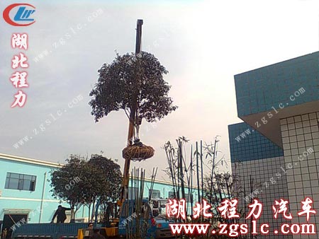 將樹苗移出隨車吊大廂 將樹苗移出隨車吊大廂