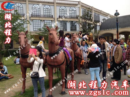 ���Dľ�R�Ŀ�����