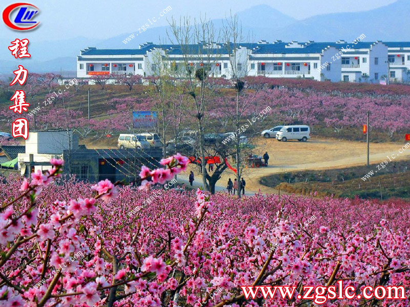 程力專用汽車股份有限公司 程力專用汽車股份有限公司