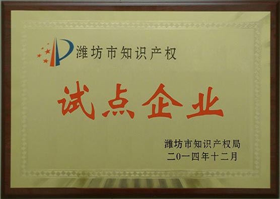 濰坊市知識產(chǎn)權(quán)試點(diǎn)企業(yè)