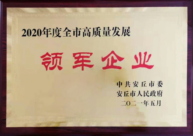 高質(zhì)量領軍企業(yè)